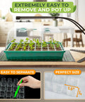 All In One Seed Starter Kit With Grow Lights And Heating Mat 40 Cell Germination Tray With Humidity Dome showing seedlings