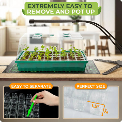All In One Seed Starter Kit With Grow Lights And Heating Mat 40 Cell Germination Tray With Humidity Dome showing seedlings
