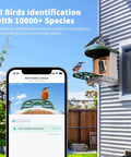 Solar Powered AI Bird Feeder With Camera, 2K HD Live Stream, Instant Arrival Alerts, Identifies 10,000 Bird Species, All In One Smart Bird House With Cam, App Connected For Easy Bird Watching, Green shown mounted on house with phone display