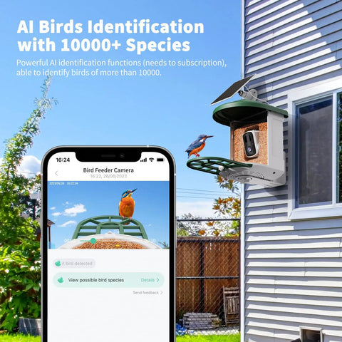 Solar Powered AI Bird Feeder With Camera, 2K HD Live Stream, Instant Arrival Alerts, Identifies 10,000 Bird Species, All In One Smart Bird House With Cam, App Connected For Easy Bird Watching, Green shown mounted on house with phone display