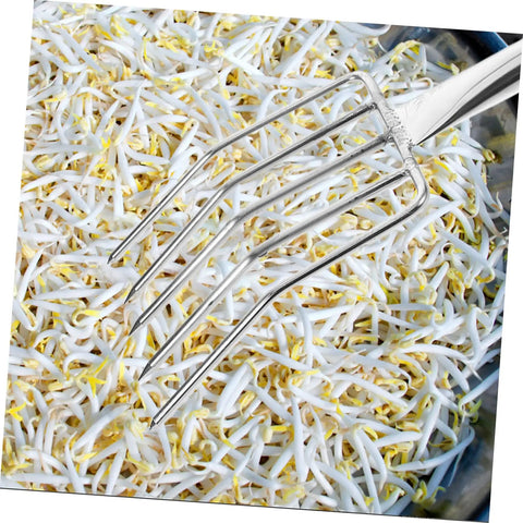 Small Stainless Steel Garden Fork For Ladies, Lightweight Digging Fork For Planting, Spade Shovel, And Leaf Scoops in sprouts