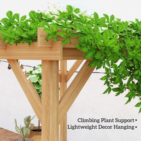 Six Point Six Foot By Six Point Six Foot Outdoor Pergola Kit With Built To Last Concrete Anchors And A Sturdy Frame Wood Gazebo Grape Trellis For Climbing Plants Hangout Ready Garden Patio Backyard Or Deck Dark Brown close-up view with wooden trellis and climbing plants.