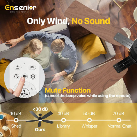 52 Inch Ceiling Fan With Light And Remote, Whisper Quiet DC Motor, Reversible For Year Round Comfort, 6 Speeds, 3CCT