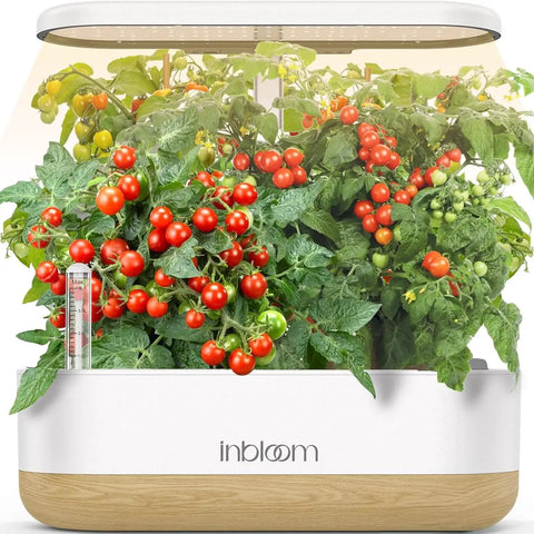 Image of the 12 Pod Hydroponics Growing System For Indoor Herb Garden With Full Spectrum LED Grow Light Water Shortage Alarm Automatic Timer Height Adjustable Stand Easy Setup Great Gift For Women, featuring tomatoes growing under the LED light.