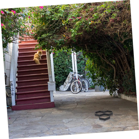 Hexagon Concrete Paving Mold Kit for DIY Projects shown on outdoor patio beside red stairs and greenery