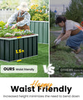 Comparison of waist-friendly galvanized raised garden bed vs traditional ground planting, highlighting ergonomic gardening benefits.