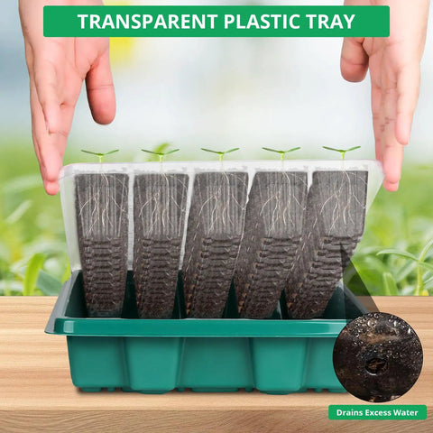Hands holding transparent plastic Seed Starter Tray With Grow Light Kit 80 Cells Humidity Dome 2 Pack Indoor Germination System.