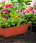 Two Pack Railing Planter Boxes With Adjustable Brackets, 16.9 Inch Window Boxes For Decks And Balconies, Red, filled with flowers