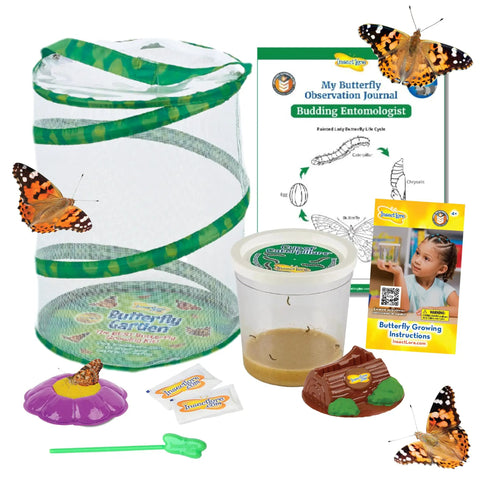 Butterfly Garden Kit With Live Caterpillars, Habitat, Feeder, Chrysalis Holder, and STEM Journal for kids and families.