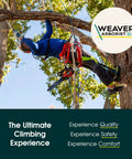 Arborist using Two Floating Dees With Padded Nylon Leg Straps against a tree, highlighting climbing comfort and secure fit.