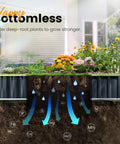 Raised Garden Bed Kit For Outdoor Use, 68 By 36 By 12 Inches, Galvanized Steel Planter Box, showing deep-root plant growth