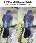 Comparison of pigeon image captured at 1080P and 2448P resolution using 8MP USB Camera Module With 3264x2448 HD Resolution, IMX179 Sensor.
