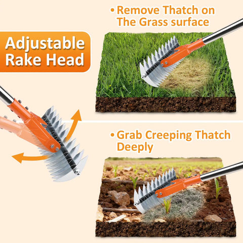 Heavy Duty Thatch Rake With Adjustable Handle 15 Inch Dethatcher Rake for Lawn Garden And Yard Cleanup Strong Steel Construction