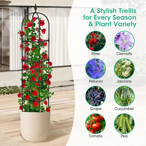 Two Pack Garden Obelisk Trellis For Climbing Plants 71 Inch Tall Metal Heavy Duty Rustproof Plant Support with red roses