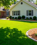 Front view of a house with a lush green lawn, illustrating the effect of Grass Colorant And Turf Paint 32 Oz Concentrate That Covers About 1000 Sq Ft So Your Lawn Pops With Deep Green Color Reviving Dormant Or Drought Stressed Grass Water Based Non Toxic Safe For Pets And Family.