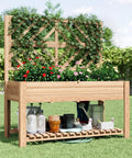 Wooden Elevated Garden Bed With Trellis On Sturdy Legs Free Standing Planter Box With Storage Shelf 47 By 24 By 55 Inches