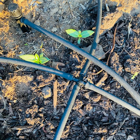 340 Piece One Quarter Inch Drip Irrigation Fittings Kit With Barbed Connectors in garden soil setup