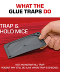 Heavy Duty Mouse Glue Traps With Eugenol For Rock Solid Grip And Instant Pest Control Pack Of Six black glue trap held in hand.