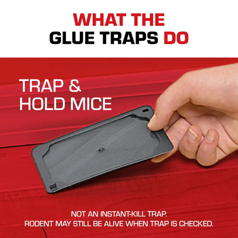 Heavy Duty Mouse Glue Traps With Eugenol For Rock Solid Grip And Instant Pest Control Pack Of Six black glue trap held in hand.