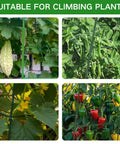 Arch Trellis for Raised Beds and Climbing Veggies, Sturdy Cucumber and Pea Support with various climbing plants visible