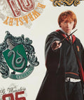 Harry Potter Peel And Stick Wall Decals Set Of 30 Removable Stickers featuring Gryffindor student with wand, Slytherin crest.