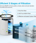 Diagram showing Official Certified Replacement HEPA Filter For B-D02L And B-D02 Air Purifier 2 Pack, H13 True HEPA tech stages.