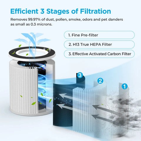 Diagram showing Official Certified Replacement HEPA Filter For B-D02L And B-D02 Air Purifier 2 Pack, H13 True HEPA tech stages.