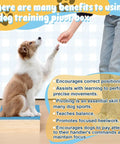 Dog showing paw on Dog Training Platform With Non Slip Surface Place Board For Agility Obedience Training Portable Pivot Box