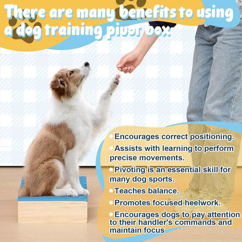 Dog showing paw on Dog Training Platform With Non Slip Surface Place Board For Agility Obedience Training Portable Pivot Box