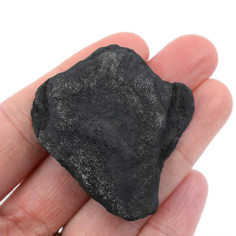 Person holding Six Pack Raw Anthracite Coal Metamorphic Rock Specimens Approx One Inch Geologist Selected Hand Processed