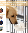 Hanging Gravity Water Dispenser For Small Pets Automatic Cage Hydration Bowl shows a dog drinking from a 22 oz ceramic-equipped bowl.