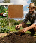 Gardener using Planting Brick Compressed Fiber Reusable Mulch For Transplanting And Hydroponics in a vibrant outdoor garden.