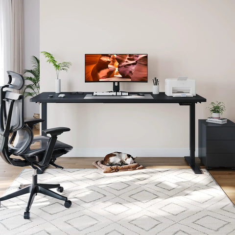 Fitstand Extra Large Standing Desk Dual Motor Electric Height Adjustable Sit Stand Workstation with monitor and office chair.