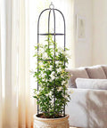 Heavy Duty Metal Climbing Plant Trellis Outdoor Freestanding Six Point Three Foot Tall Upgrade 100 Percent Metal With Powder Coating