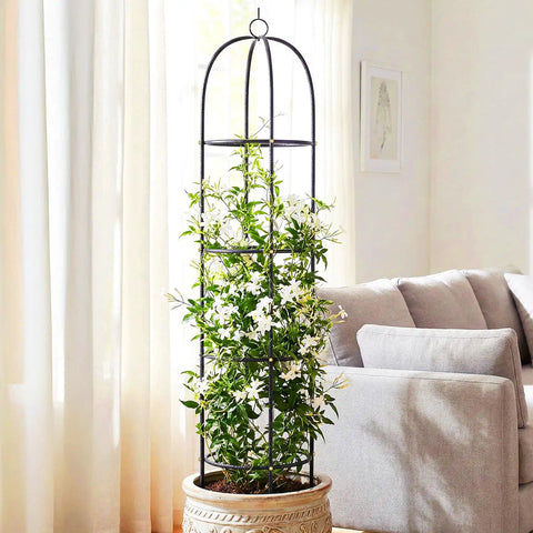 Heavy Duty Metal Climbing Plant Trellis Outdoor Freestanding Six Point Three Foot Tall Upgrade 100 Percent Metal With Powder Coating