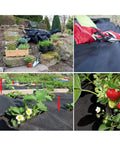 Image of landscape ground cover weed barrier fabric for weed control in gardens, featuring black material and various plants.