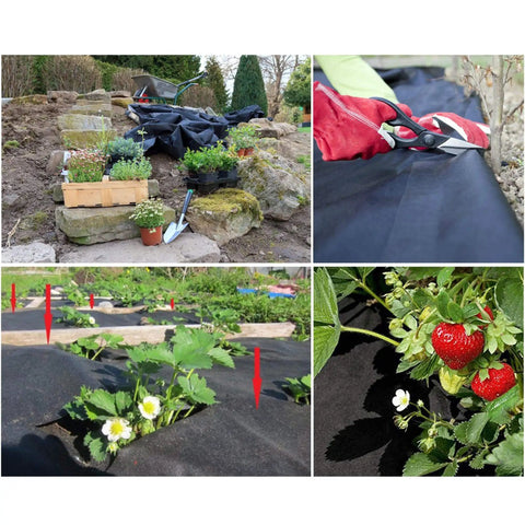 Image of landscape ground cover weed barrier fabric for weed control in gardens, featuring black material and various plants.