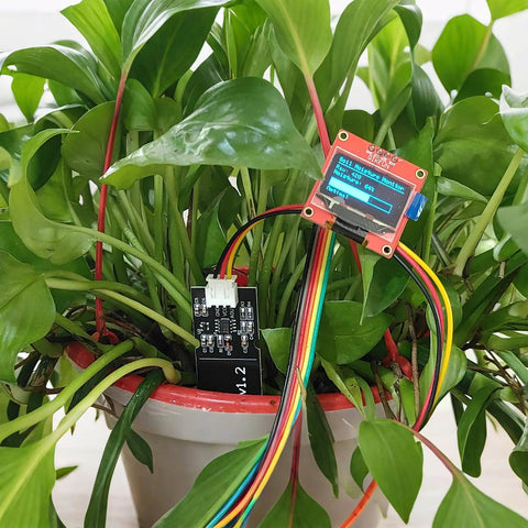 Capacitive Soil Moisture Sensor for Arduino in plant pot, corrosion-resistant moisture detector for DIY garden projects
