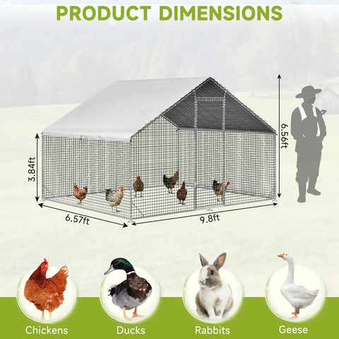 Walk In Chicken Coop With Run And Galvanized Enclosure, Waterproof UV Cover, Secure Lock, 9.8 x 6.6 x 6.6 feet, with chickens