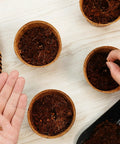 3.25 Inch Coconut Coir Biodegradable Pots 22 Pack Plantable Seed Starter Pots Peat Free Eco Friendly Sustainable Garden Containers For Home Growers And Urban Gardeners in use, with seeds being planted.