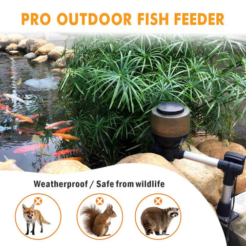 Set It And Forget It Vacation Ready Automatic Pond Feeder Programmable Lcd Controller with weatherproof design near koi pond.