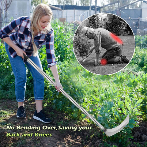 Woman using Long Handle Sickle Weeding Garden Tool For Grass Cutting And Vine Removal Heavy Duty Billhook Style Cutter For Yard Work Fields Lawn And Ditches Anti Rust Stainless Blade Safe Storage Easy Harvest Prep on plants
