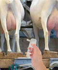 Portable Goat Milking Cup Replacement Part With Plastic Milking Liner Lightweight Hygienic For Dairy Operations And Field Use Ideal For Mobile Milking Across Farms And Barns, hand holding cup