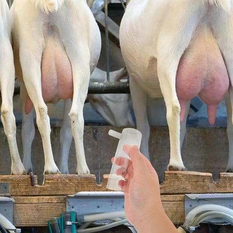 Portable Goat Milking Cup Replacement Part With Plastic Milking Liner Lightweight Hygienic For Dairy Operations And Field Use Ideal For Mobile Milking Across Farms And Barns, hand holding cup