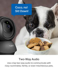 2K Indoor Pan Tilt Security Cam For Baby And Pet Monitor With Motion Alerts Two Way Talk Built In Siren Night Vision Local Storage No Monthly Fees Or Optional Cloud 2 Pack Home Surveillance Kit shown monitoring a dog with two-way audio