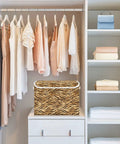 Collapsible Storage Bin With Flip Top Lid And Carry Handles For Bedroom Organization Straight Up Solid 300D Oxford Fabric Crate Folds Flat in closet with hanging clothes.