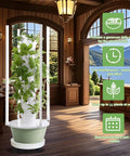 All In One Vertical Hydroponic Garden Tower With LED Grow Lights, Eight Levels, Thirty-Two Large Pods in a cozy indoor space
