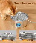 Cat drinking from Stainless Steel Cat Water Fountain Two Point Six Liter Ultra Quiet Pet Fountain With Flower Spout And LED Blue Light