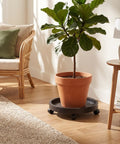 Heavy Duty Plant Caddy With Ultra Smooth Rollers, 14 Inch Round Planter Saucer For Indoors And Outdoors, Bears Up To 265 Pounds Without Breaking A Sweat, Zero Assembly Needed, Moves Pots Like A Dream under potted plant in a living room.