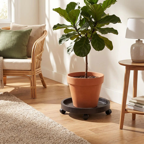 Heavy Duty Plant Caddy With Ultra Smooth Rollers, 14 Inch Round Planter Saucer For Indoors And Outdoors, Bears Up To 265 Pounds Without Breaking A Sweat, Zero Assembly Needed, Moves Pots Like A Dream under potted plant in a living room.